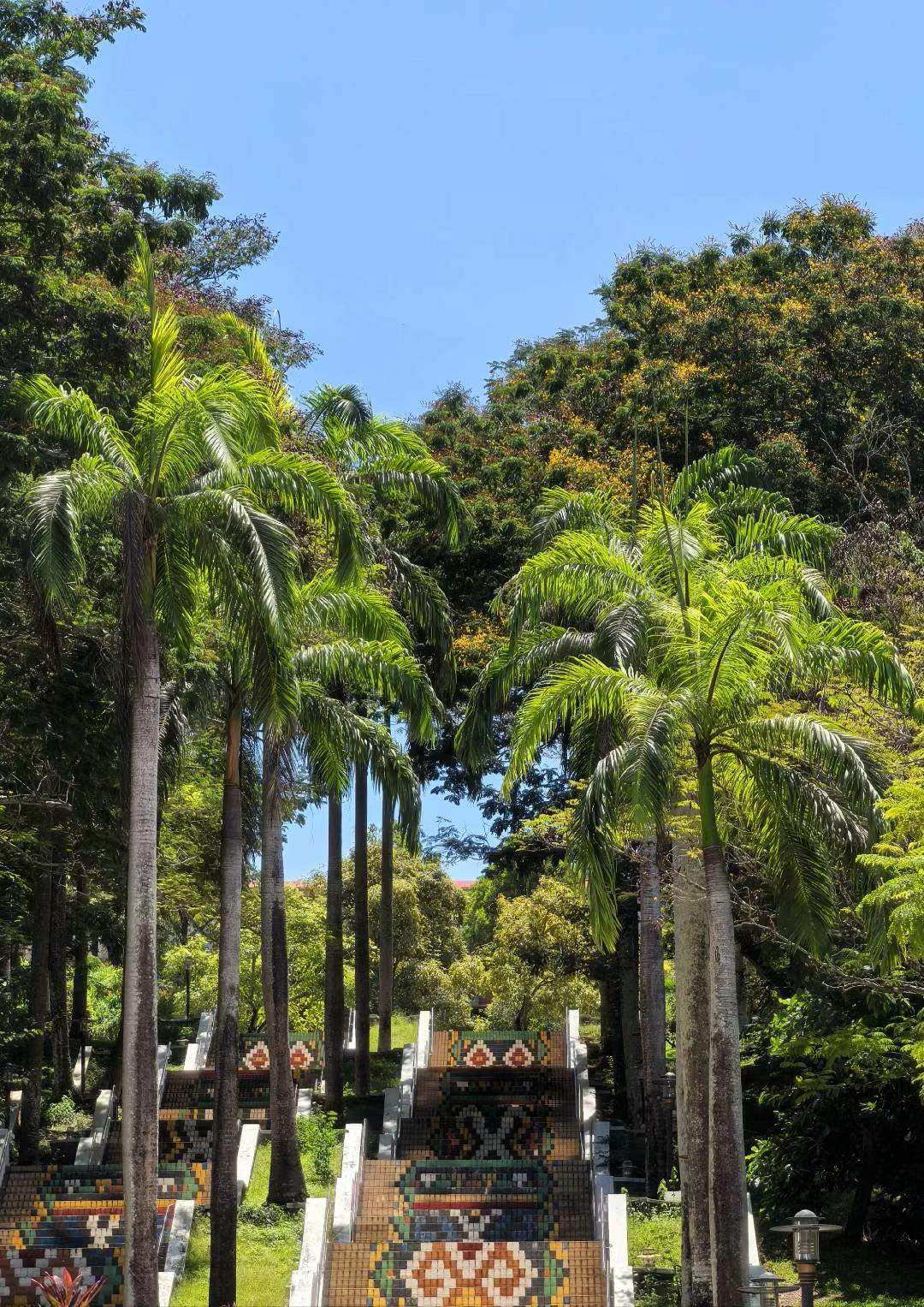 沙巴大学-彩虹阶梯