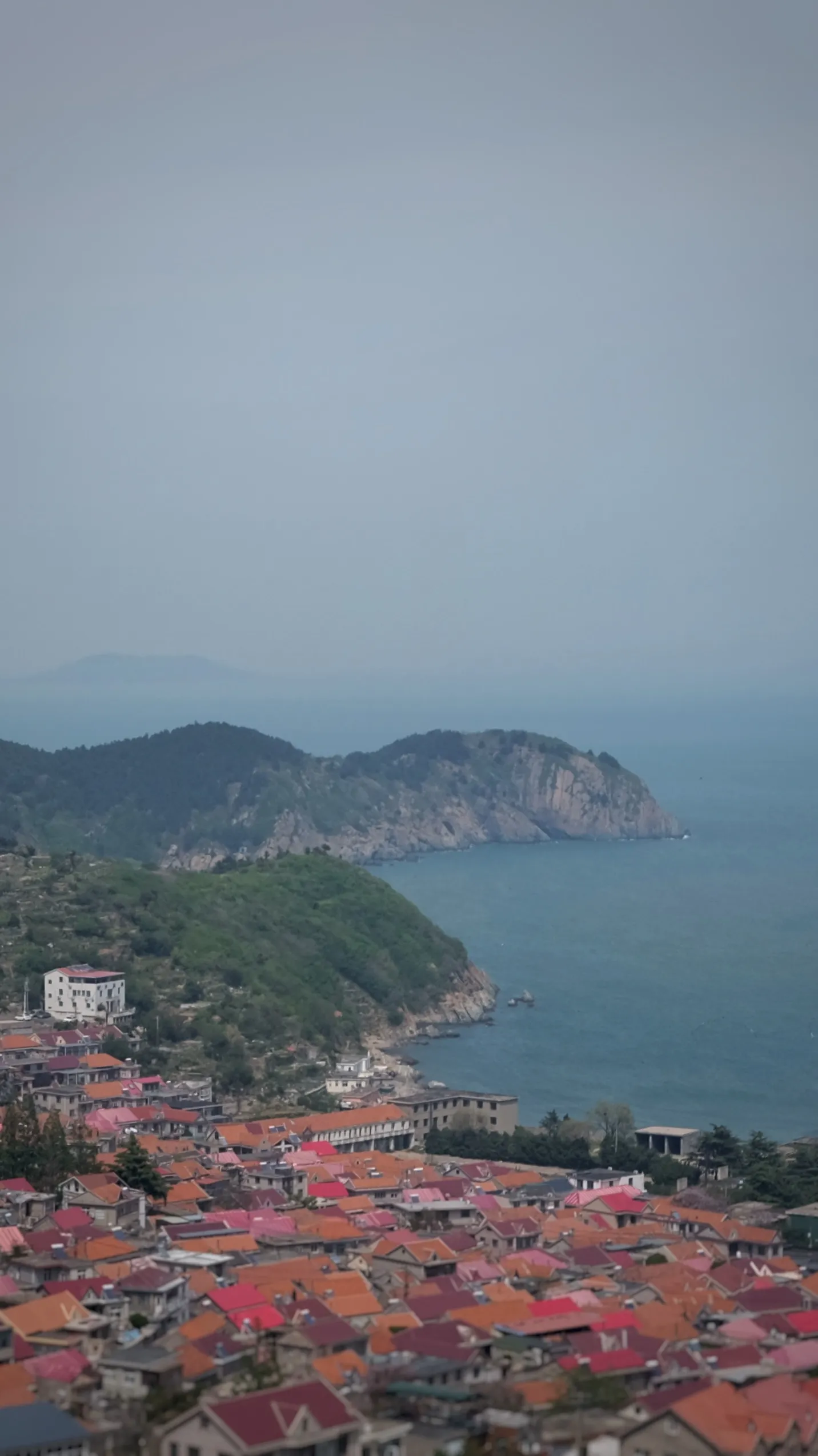青山渔村